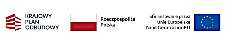 logo z wyciętą bib.jpg (22 KB)