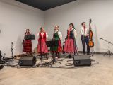 Festiwal Muzyki Wiejskiej, Fot. Kamila Figarska